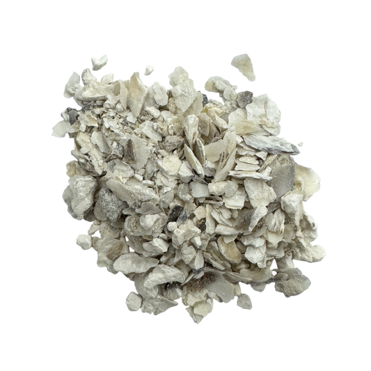 Oyster Shell (Concha Ostreae) - 牡蛎 (mǔ lì)