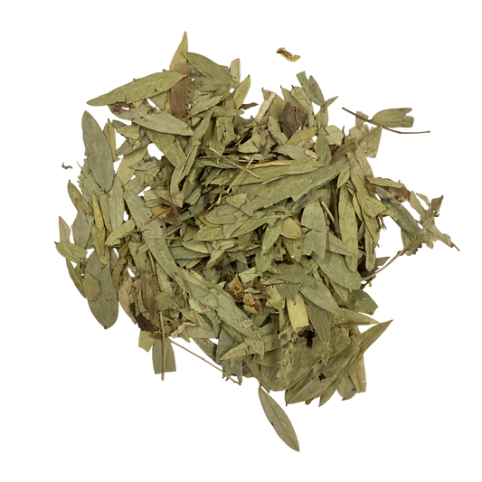 Senna Leaves (Folium Sennae) - 番泻叶 (fān xiè yè)