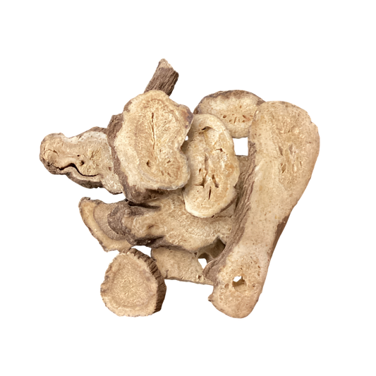 White Atractylodis (Rhizoma Atractylodis Macrocephalae) - 白术 (bái zhu)