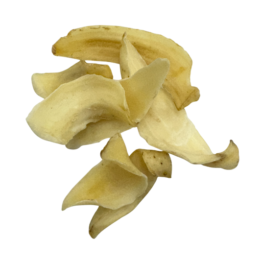 Lily Bulb (Lilium lancifolium) - 百合 (Bai He)