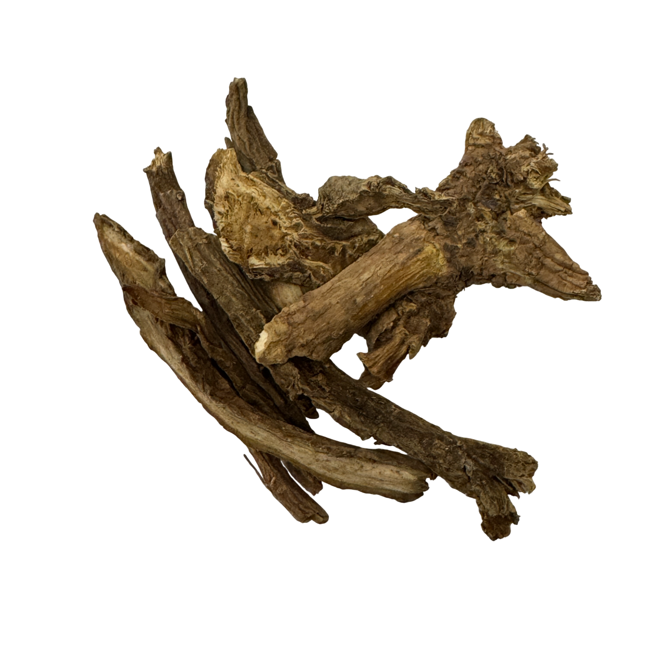 Dipsacus (Radix Dipsacus Asper) - 川断片/续断 (chuān duàn piàn/ xù duàn)