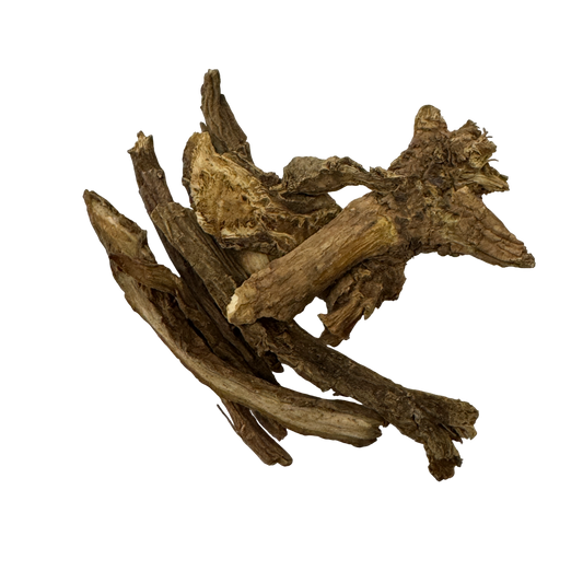 Dipsacus (Radix Dipsacus Asper) - 川断片/续断 (chuān duàn piàn/ xù duàn)