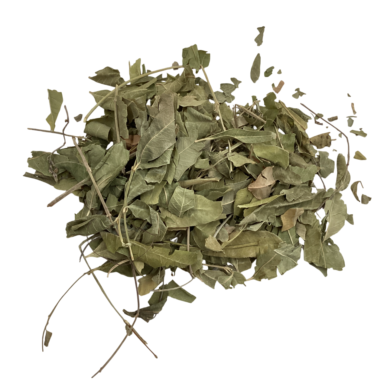 Dogbane Leaf (Folium Apocyni Venetum) - 罗布麻叶 (luó bù má yè)