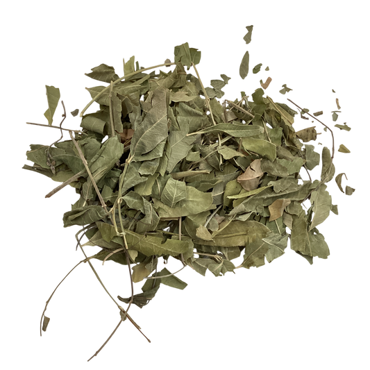 Dogbane Leaf (Folium Apocyni Venetum) - 罗布麻叶 (luó bù má yè)