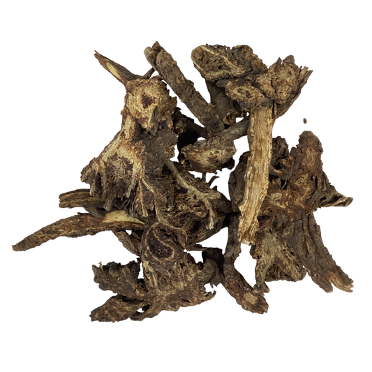 Notopterygium Root (Radix Notopterygii) - 羌活 (qiāng huó)