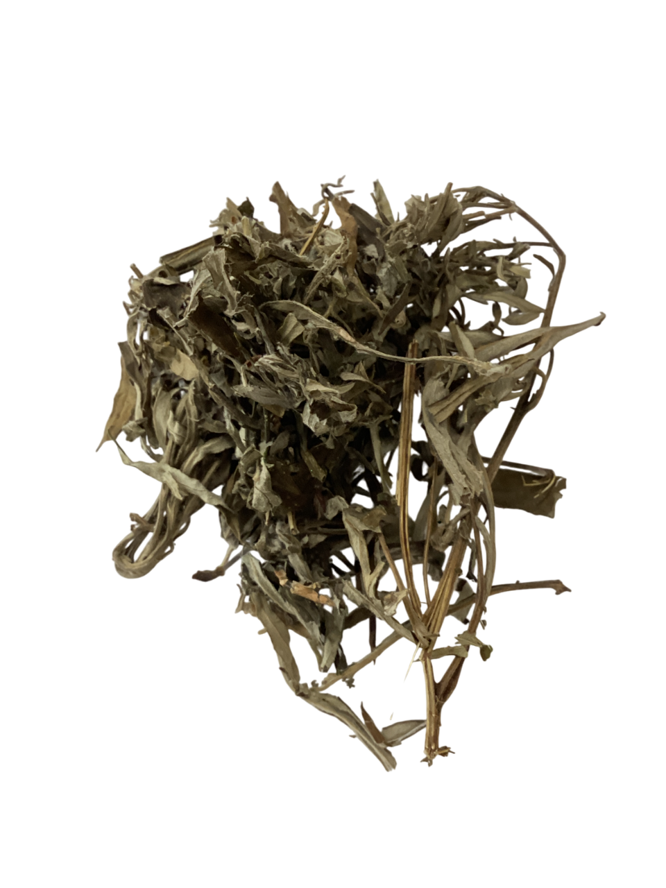 Mugwort Leaf (Folium Artemisiae Argyi) - 艾叶 (ài yè)