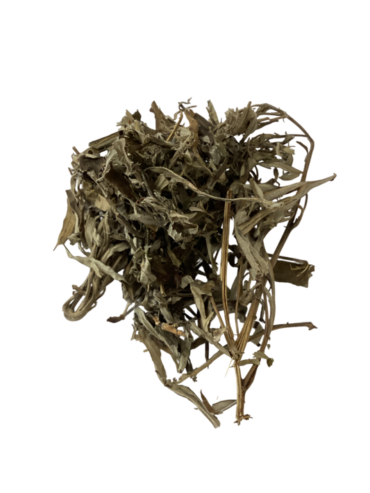 Mugwort Leaf (Folium Artemisiae Argyi) - 艾叶 (ài yè)