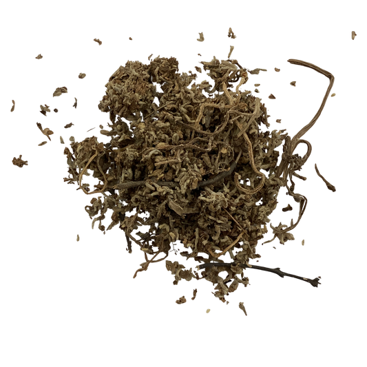 Genkwa Flower (Flos Genkwa) - 芫花 (yuan hua)