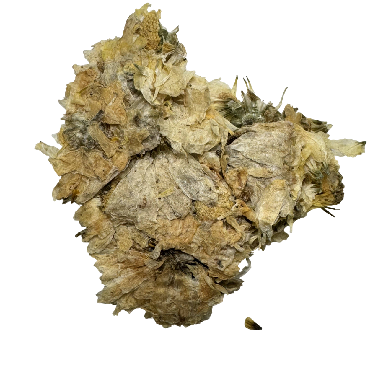 Han Ju Hua (Flos Chrysanthemum) - 杭菊花 (háng jú huā)