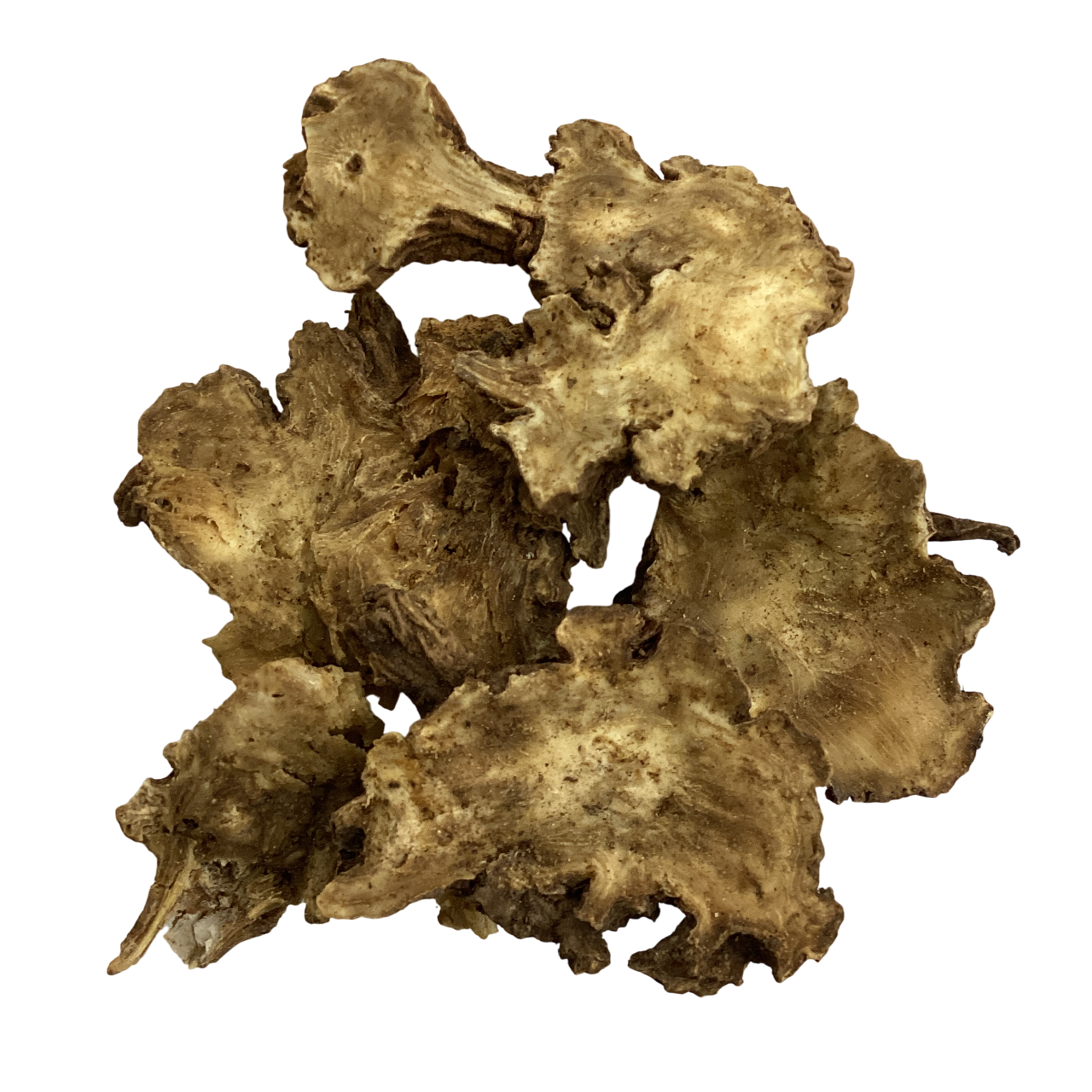 Chinese Lovage Root (Fructus Tribuli) - 藁本 (Gao Ben)