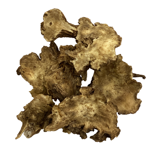 Chinese Lovage Root (Fructus Tribuli) - 藁本 (Gao Ben)