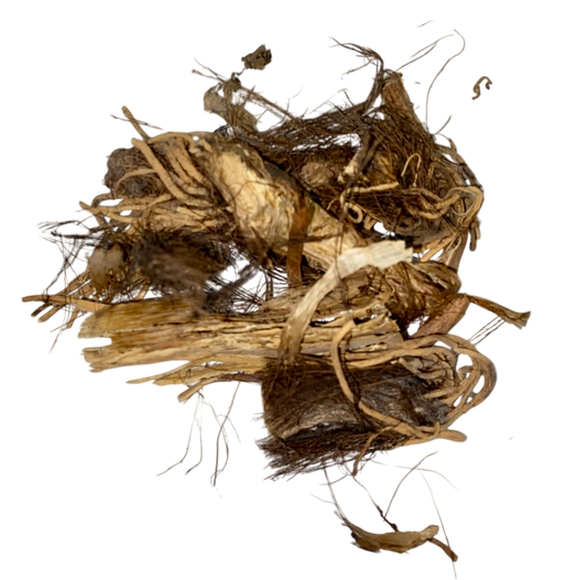 Radix ET Rhizoma Veratri (Li Lu) - 藜芦