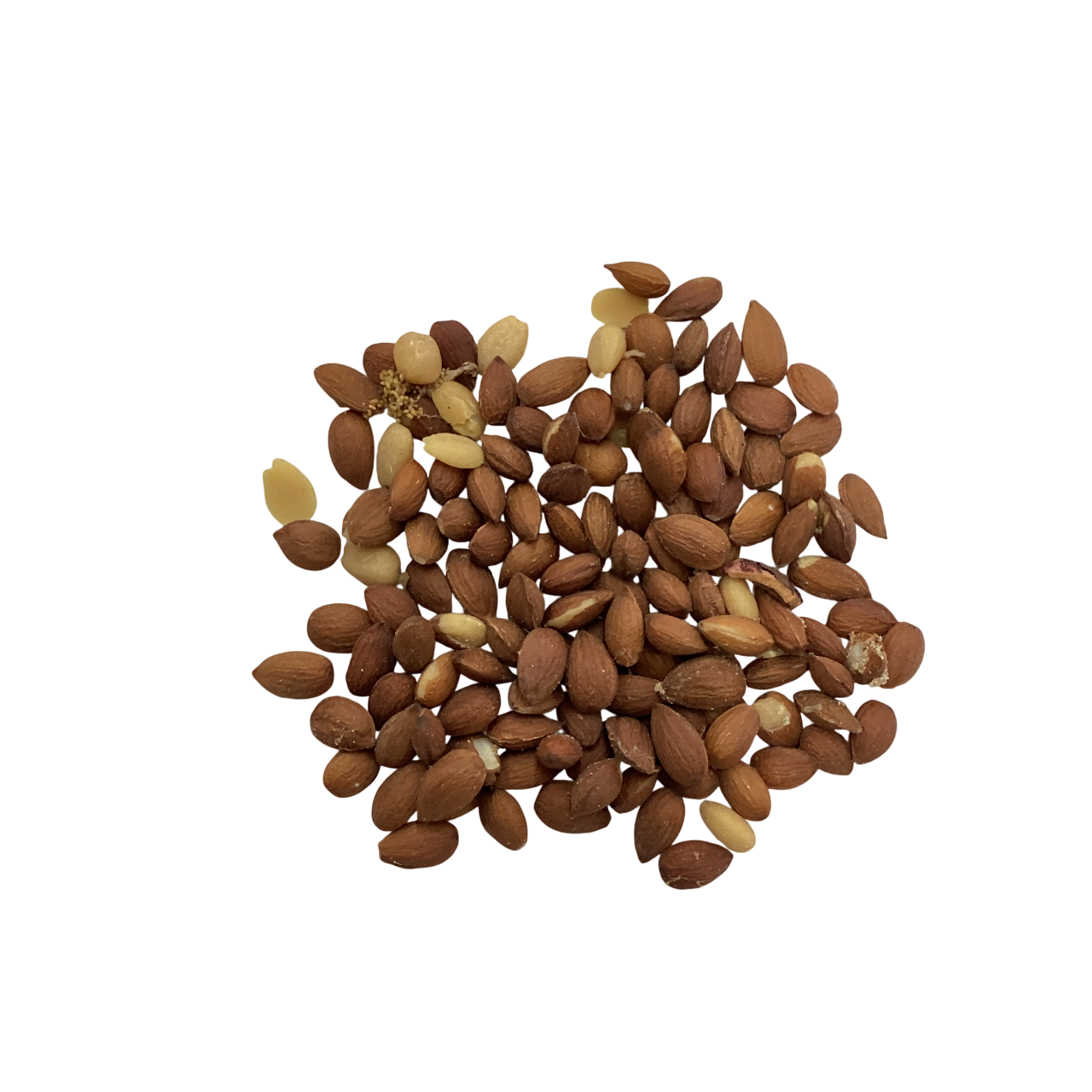 Bush Cherry Pit (Semen Pruni) - 郁李仁 (Yu Li Ren)