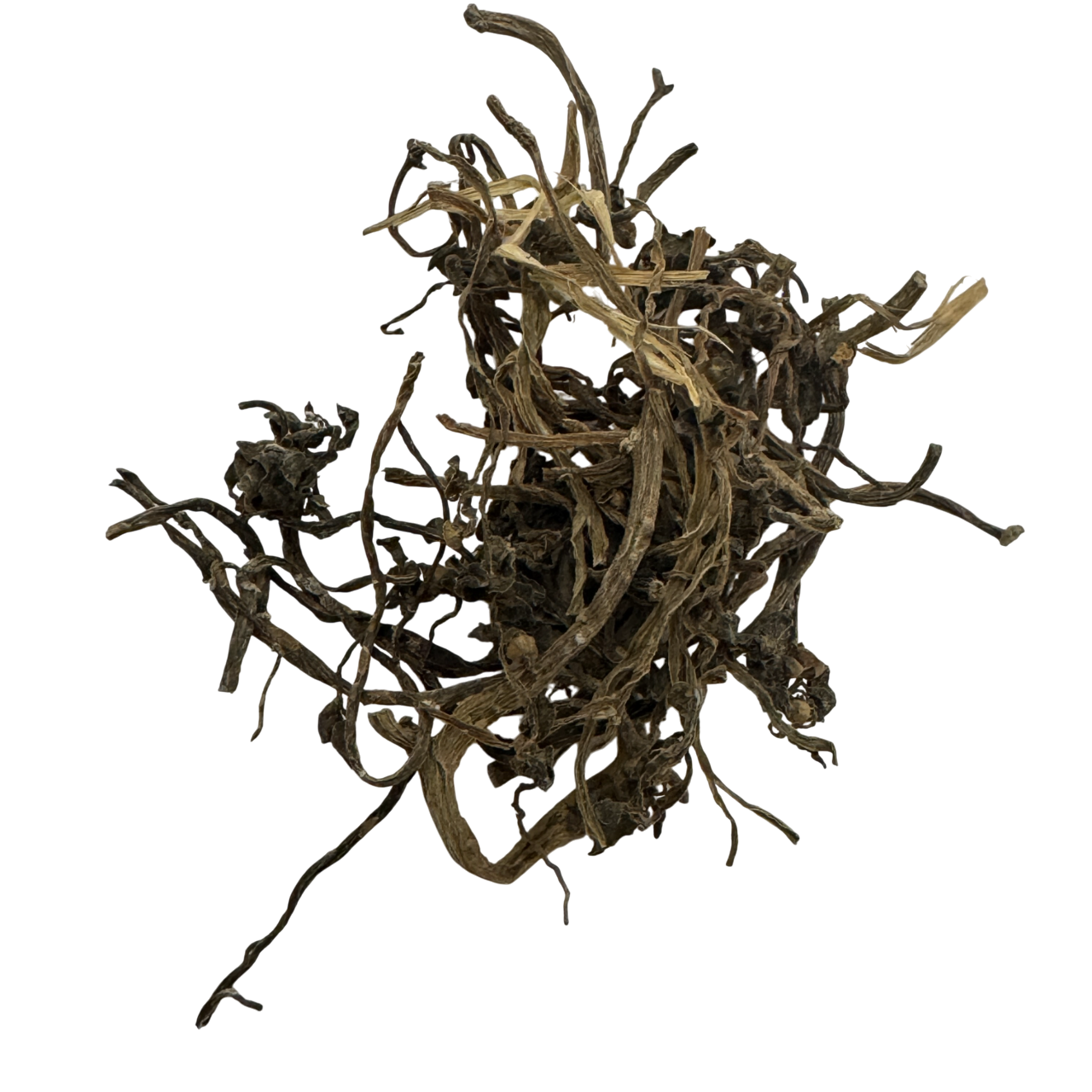 Purslane (Herba Portulacae) - 马齿苋 (mǎ chǐ xiàn)