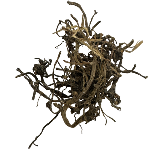 Purslane (Herba Portulacae) - 马齿苋 (mǎ chǐ xiàn)