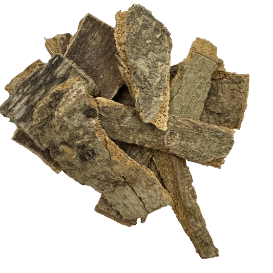 Cortex Schefflerae Octophylla - 鸭脚木皮 (yā jiǎo mù pí)