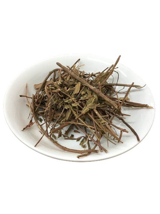 Chinese Osbeckia Herb  (Herba Osbeckiae) - 天香炉 (Tian Xiang Lu)