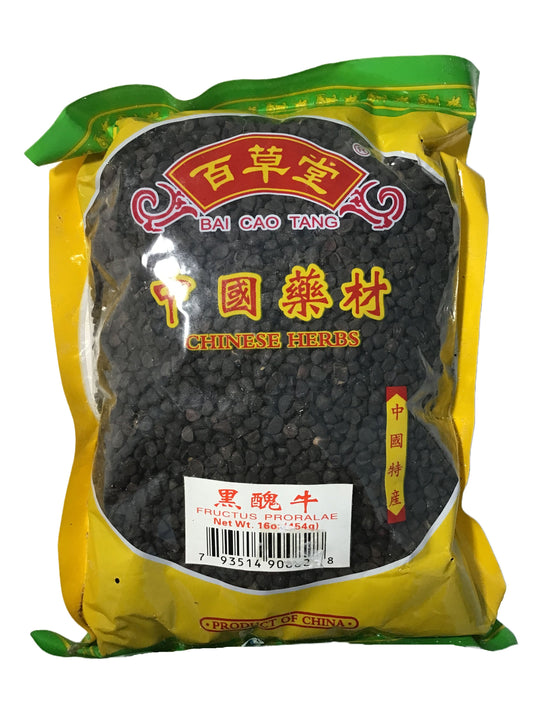 Pharbitis Seed (Semen Pharbitidis) - 牵牛子/黑丑牛 (Qian Niu Zi / Hei Chou)