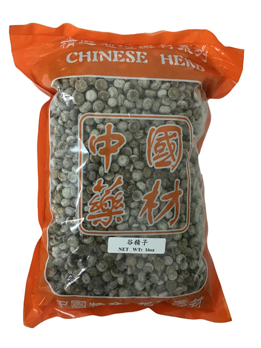 Pipewort Seed (Eriocaulon Buergerianum Koem) - 谷精子 (gǔ jīng zǐ)